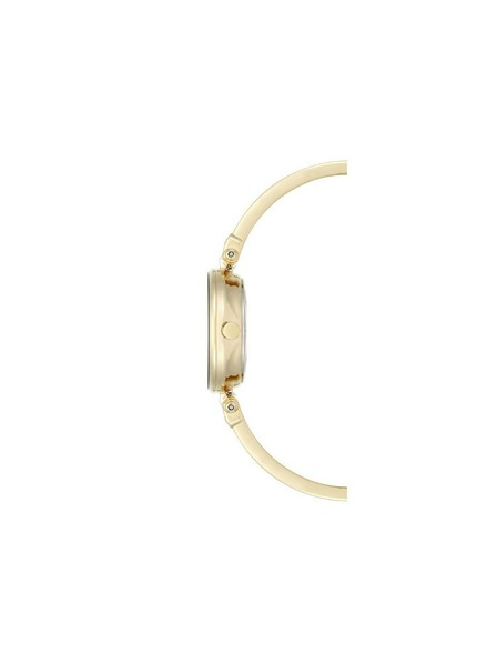 Anne Klein Zlatni ženski satovi Anne Klein