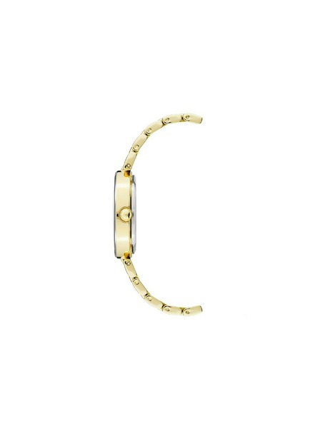 Anne Klein Zlatni ženski satovi Anne Klein