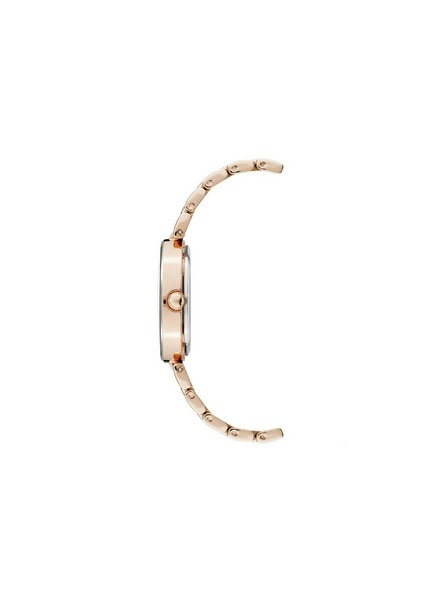 Anne Klein Ružičasto zlatni ženski satovi Anne Klein