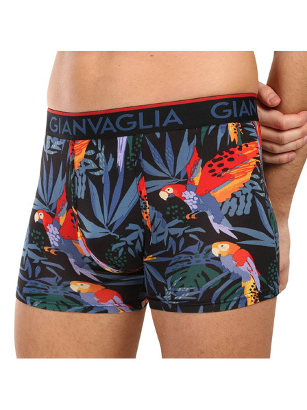 Gianvaglia Set od pet - muške bokserice Gianvaglia višebojna