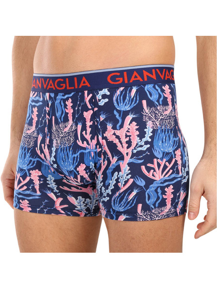 Gianvaglia Set od pet - muške bokserice Gianvaglia višebojna