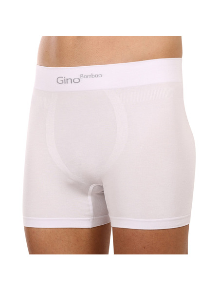 gino Bokserice