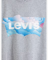 Levi's® Graphic Jordie Majica kratkih rukava