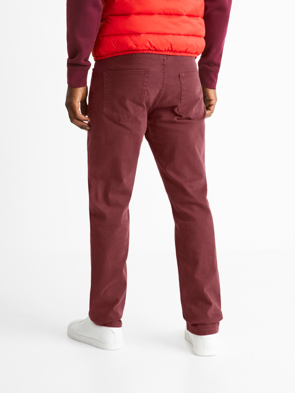 Celio Vopry1 Traperice