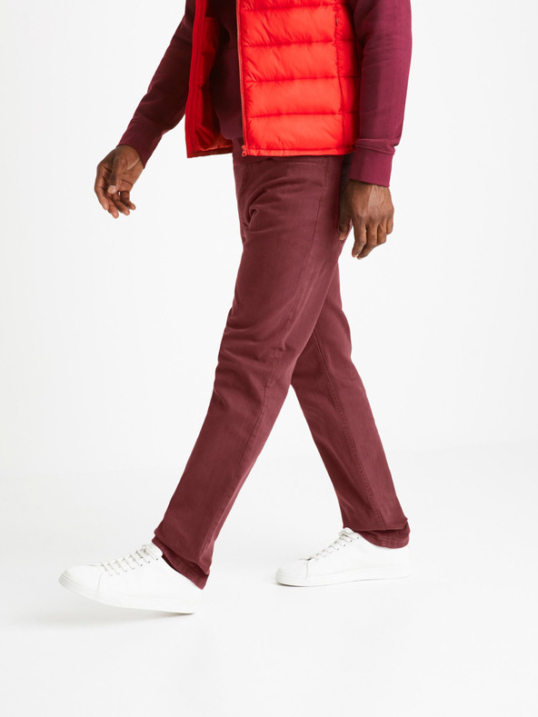 Celio Vopry1 Traperice