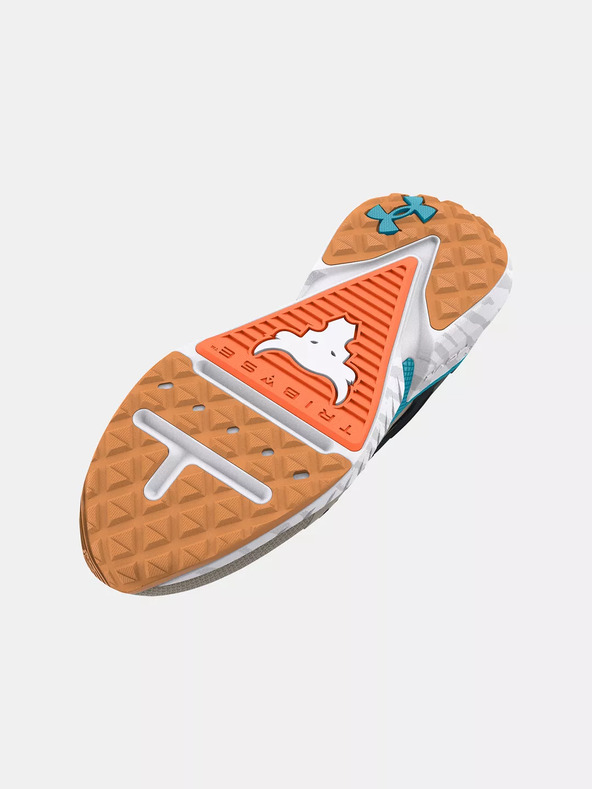 Under Armour Muške cipele Under Armour UA Project Rock 5