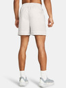 Under Armour Muške kratke hlače Under Armour Curry Woven Short
