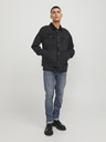 Jack & Jones Glenn Traperice