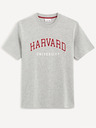 Celio Harvard University Majica