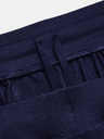 Under Armour Muške sportske hlače Under Armour UA UNSTOPPABLE CARGO PANTS