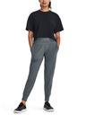 Under Armour Ženske trenerke Under Armour Meridian Jogger
