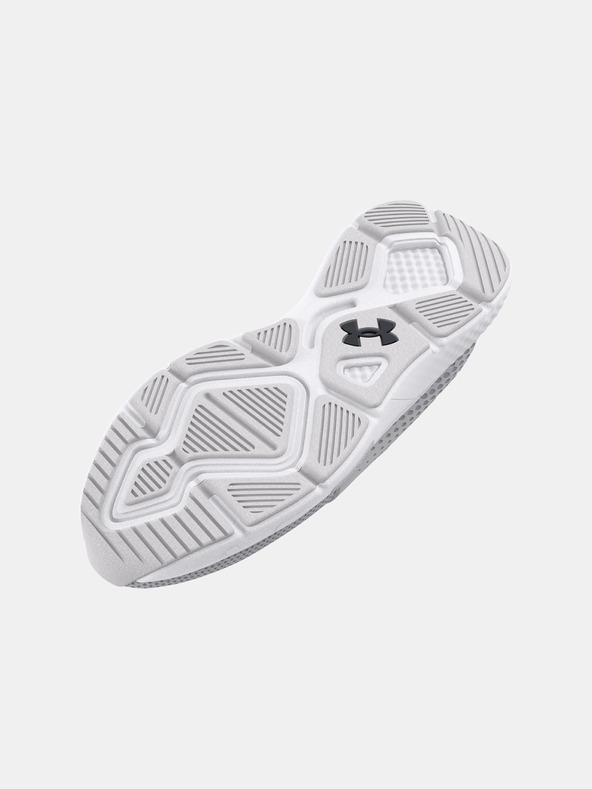 Under Armour Muške cipele Under Armour UA Charged Decoy