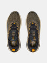 Under Armour Under Armour UA Project Rock 7 Q4 unisex cipele