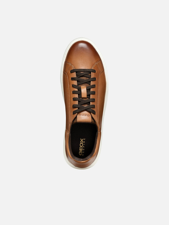 Geox Smeđe muške tenisice Geox Deiven