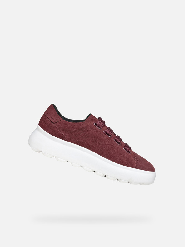 Geox Bordo ženske tenisice Geox Spherica EC4.1