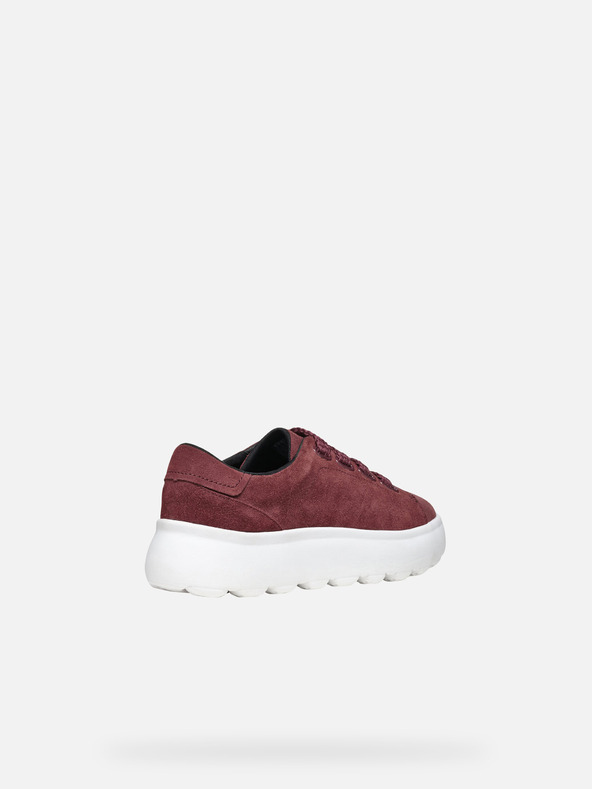 Geox Bordo ženske tenisice Geox Spherica EC4.1