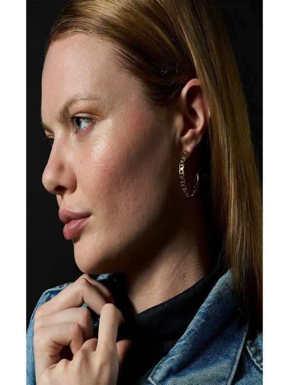 Fossil Ženske čelične naušnice Fossil Heritage JF04781710