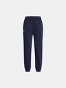 Under Armour Under Armour UA Icon Fleece Jogger ženske trenirke