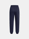 Under Armour Under Armour UA Icon Fleece Jogger ženske trenirke
