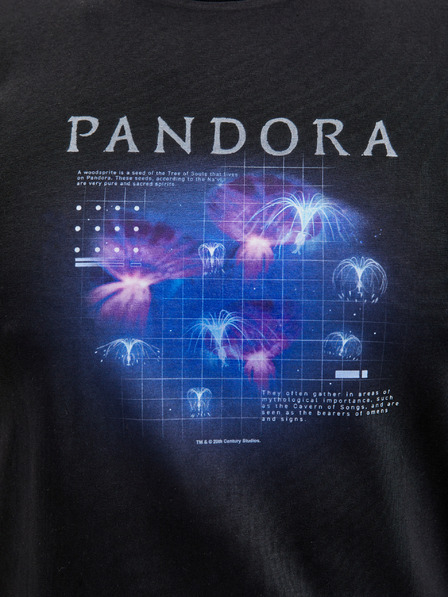 ZOOT.Fan Dijagram Avatar 1 ZOOT. FAN Twentieth Century Fox - muška majica