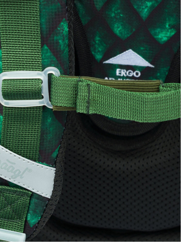 BAAGL  Zelena školska torba Ergo Baagl Drak