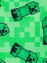 BAAGL  Green Bag Baagl Minecraft Creeper