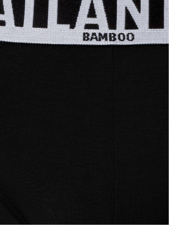 Atlantic Muške gaćice od bambusa ATLANTIC PREMIUM