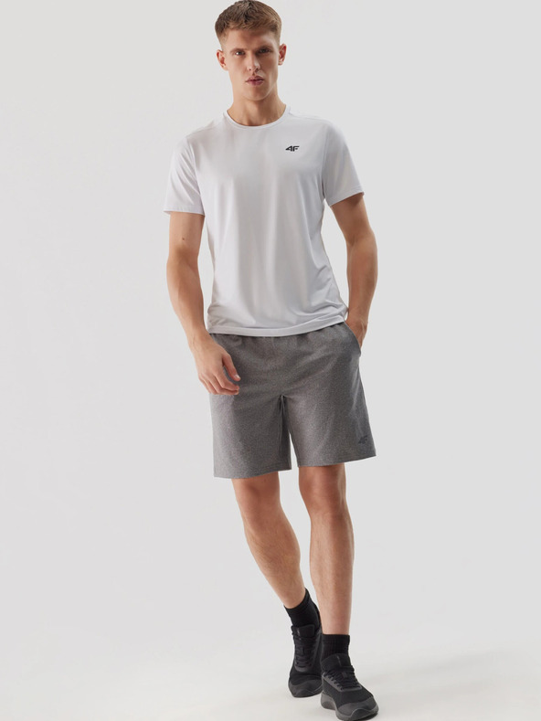 4F Muške sportske brzosušeće kratke hlače 4F