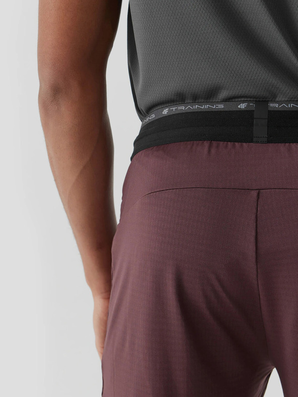 4F Muške sportske brzosušeće hlače 4F