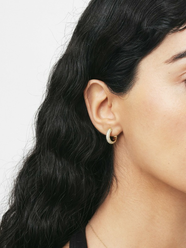 Daniel Wellington Ženske zlatne čelične naušnice Daniel Wellington