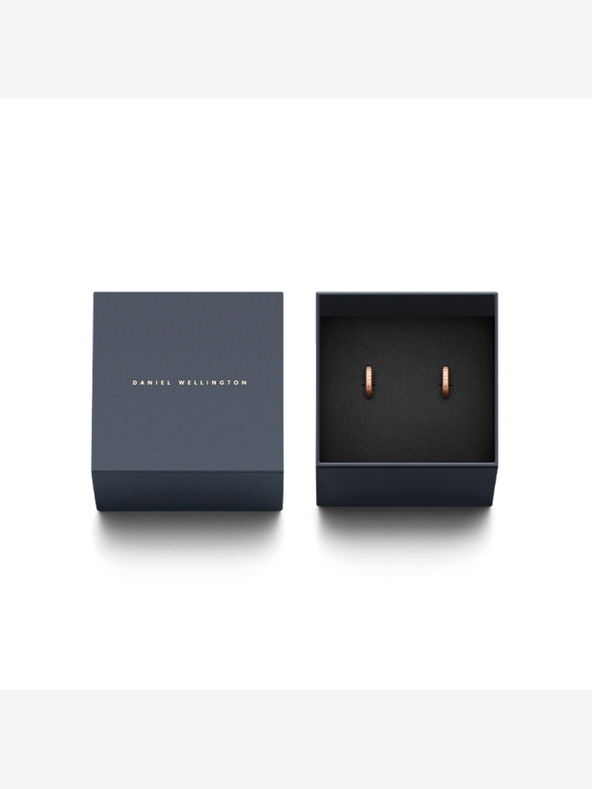 Daniel Wellington Daniel Wellington čelične naušnice DW00400146