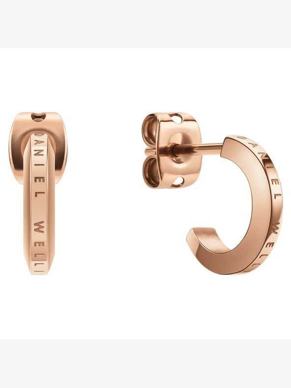 Daniel Wellington Daniel Wellington čelične naušnice DW00400146