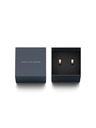 Daniel Wellington Daniel Wellington DW00400148 čelične naušnice