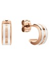 Daniel Wellington Daniel Wellington DW00400148 čelične naušnice