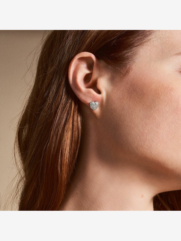 Fossil Ženske naušnice Fossil JF04676040