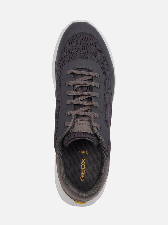 Geox Geox Klaiver tamno sive muške tenisice