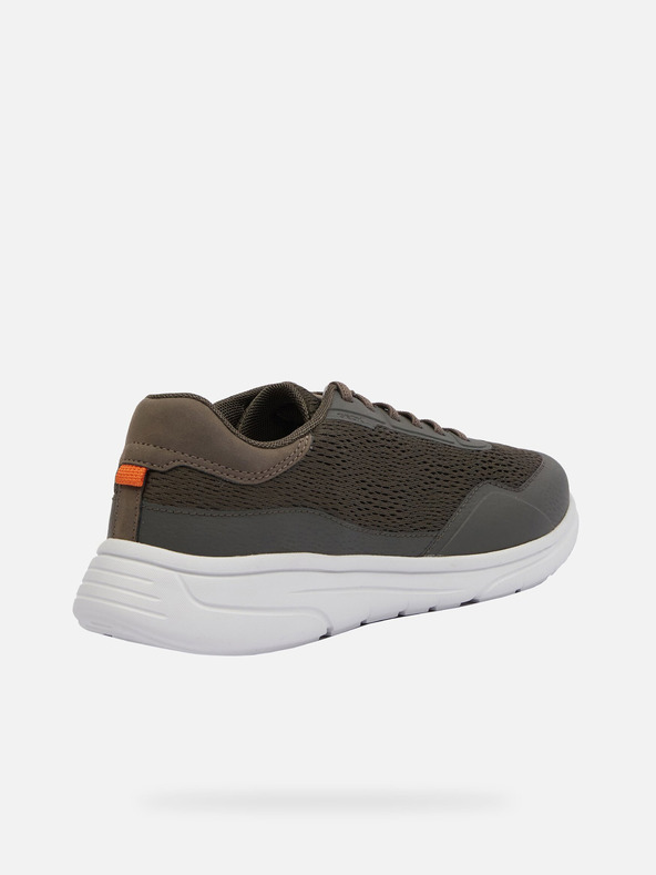 Geox Khaki Geox Klaiver muške tenisice