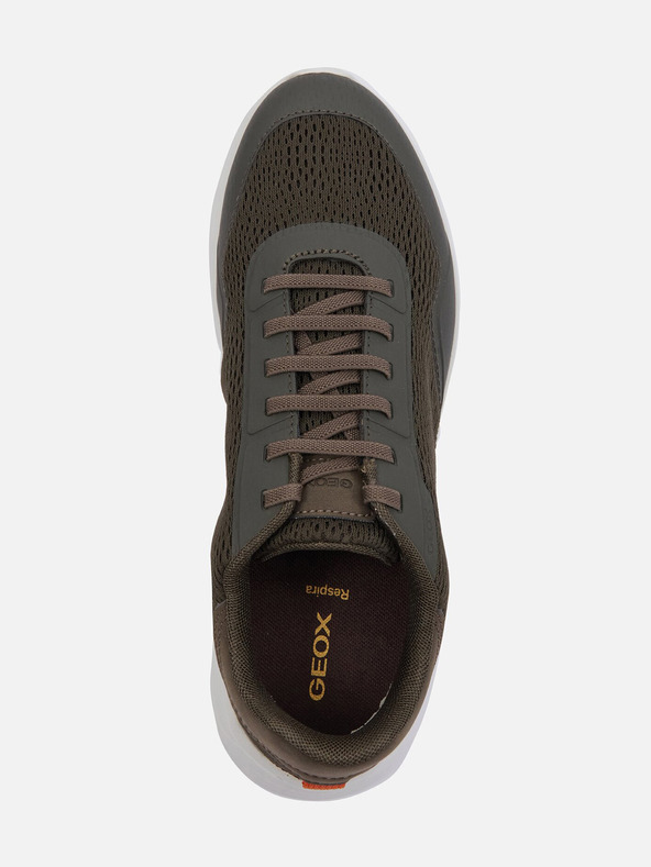 Geox Khaki Geox Klaiver muške tenisice