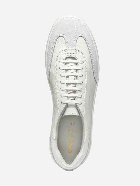 Geox Bijele muške tenisice Geox Regio