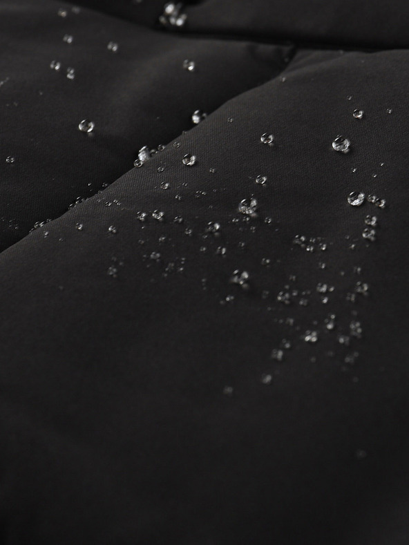 ALPINE PRO Ženska jakna s ptx membranom ALPINE PRO SAPTAHA crna varijanta pb