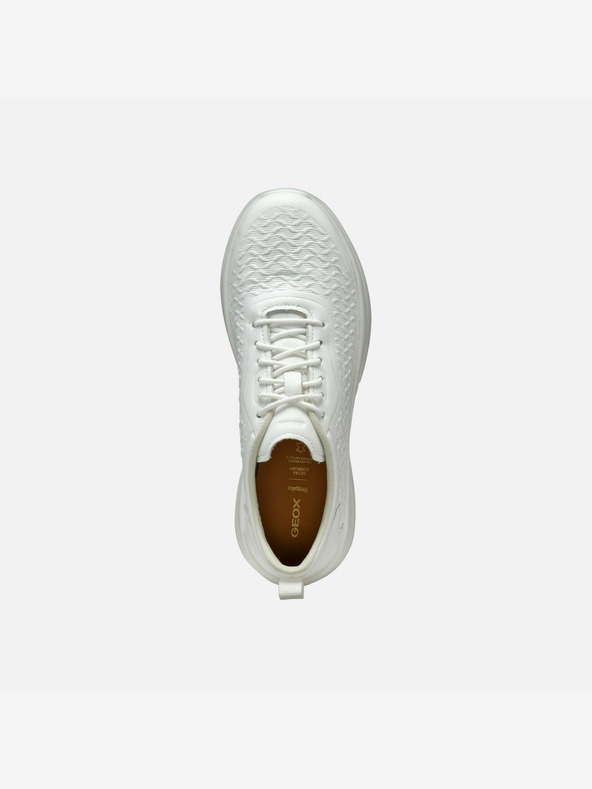 Geox Bijele ženske tenisice Geox Xtors