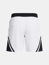 Under Armour Muške kratke hlače Under Armour Curry Mesh Short 4