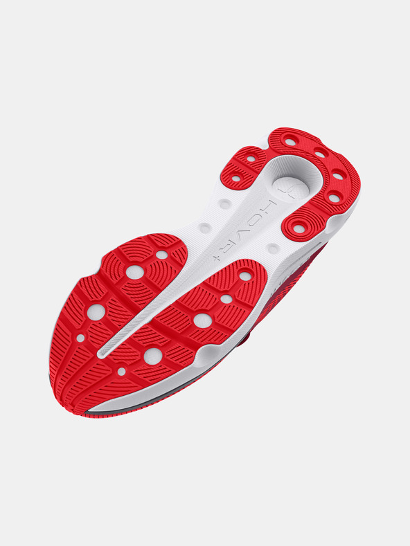 Under Armour Under Armour UA Infinite Pro muške cipele