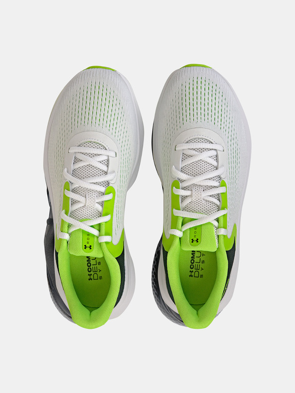 Under Armour Under Armour UA Charged Rogue 5 muške cipele