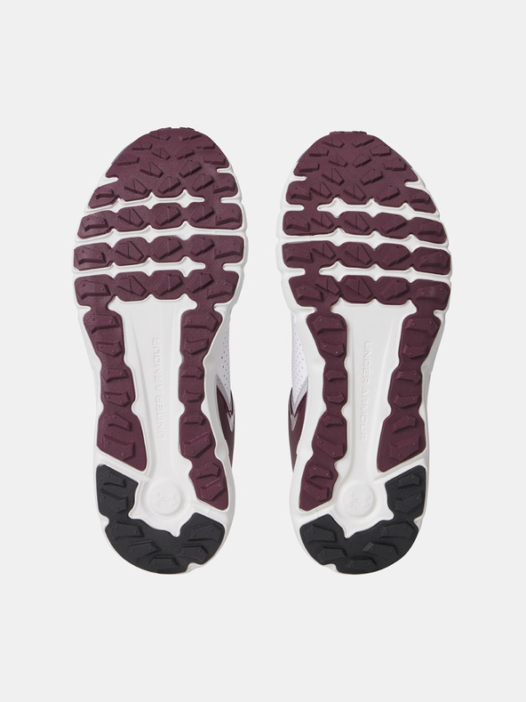 Under Armour Under Armour UA Summit Trek muške cipele