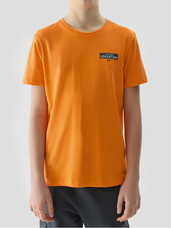 4F Dječačka majica kratkih rukava od organskog pamuka s 4F printom