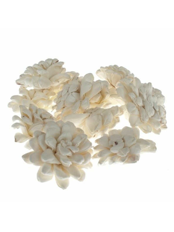 Casa de Engel Suhe krizanteme - set 12 kom, 0/40