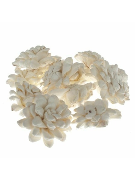 Casa de Engel Suhe krizanteme - set 12 kom, 0/40