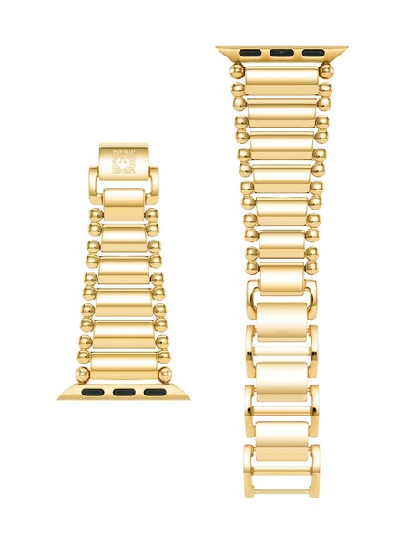Anne Klein Čelični remen za Apple Watch Anne Klein 38/40/41