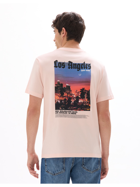 Celio Majica Mexcity